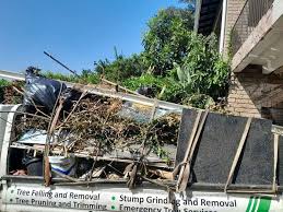 Best Office Cleanout  in Shadybrook, TX