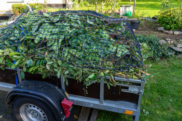 Trusted Shadybrook, TX Junk Removal Services Experts